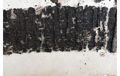 Papiro Ercolanese 1067 della Biblioteca Nazionale di Napoli