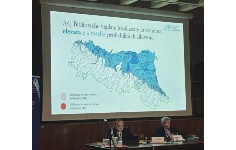 convegno