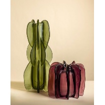 Alberi_Radice_@michelacattai