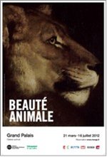 Beaut&eacute; animale