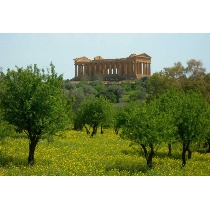 Valle dei Templi - Agrigento