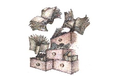 Archivi Provincia di Grosseto