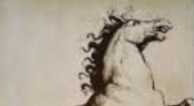 cavallo