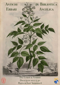 erbario